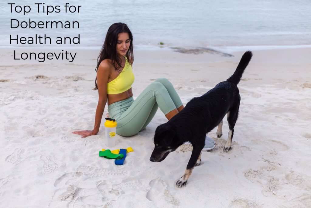 10.Top Tips for Doberman Health and Longevity Ultimate Guide